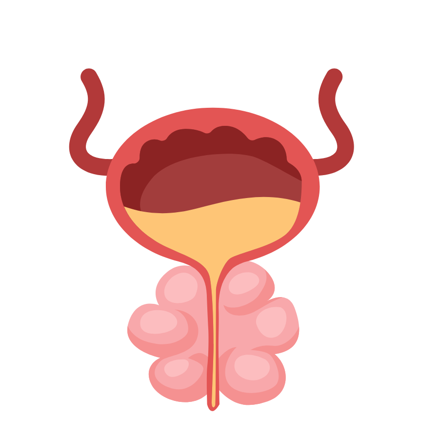 DƯỢC PHẨM BÌNH TÂN